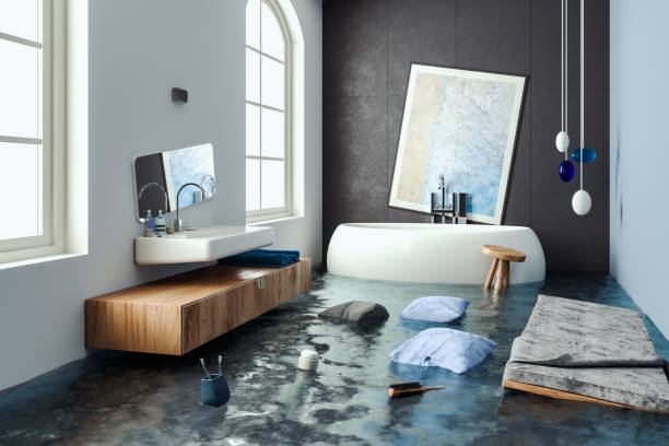 Best Carpet water damage restoration  in North Charleston, SC