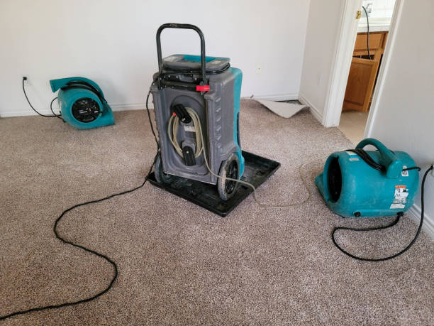 Best Sewage cleanup and water damage restoration  in North Charleston, SC