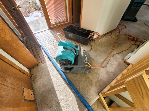 Best Flood damage cleanup  in North Charleston, SC