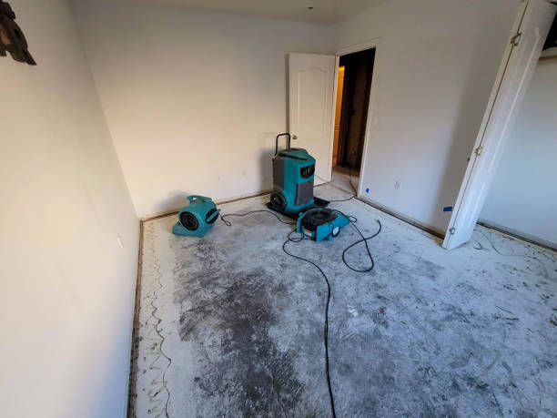 Best Commercial water damage restoration  in North Charleston, SC