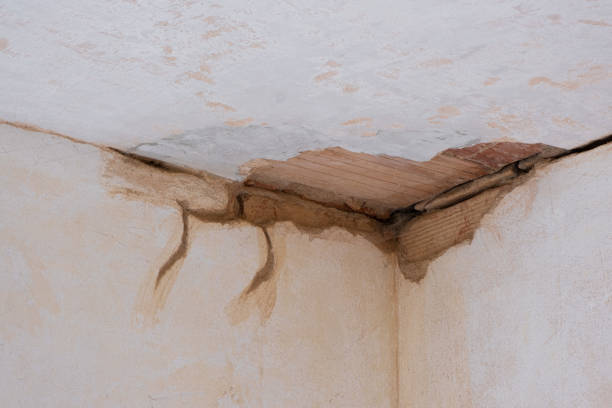 Best Water damage restoration near me  in North Charleston, SC