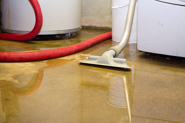 Best Water damage cleanup near me  in North Charleston, SC