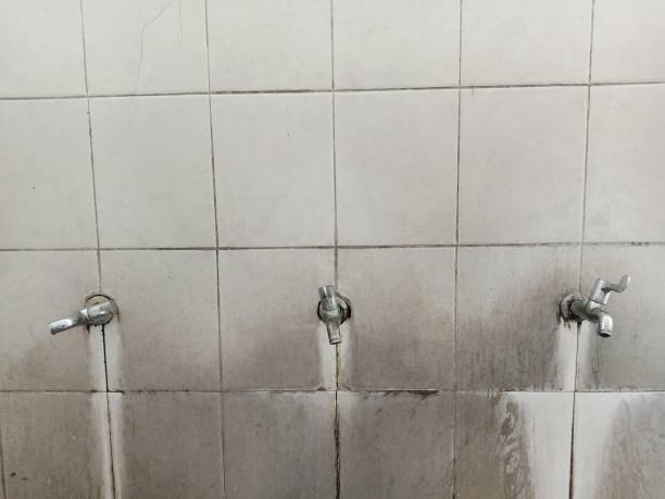 Best 24-hour water damage restoration  in North Charleston, SC
