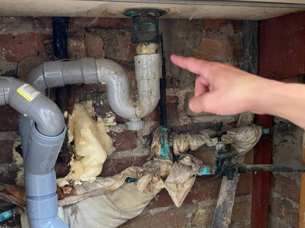 Best Water damage restoration specialists  in North Charleston, SC