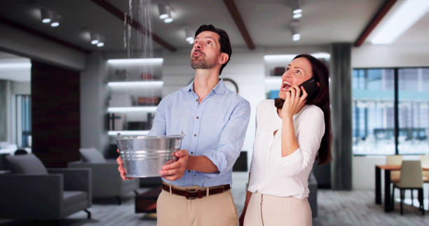 Best Professional water damage repair  in North Charleston, SC