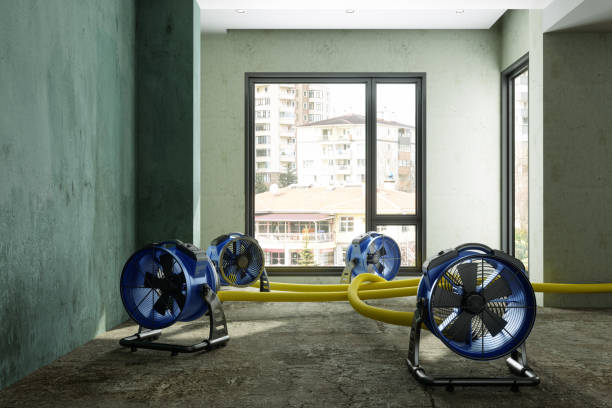  North Charleston, SC Water damage restoration Pros