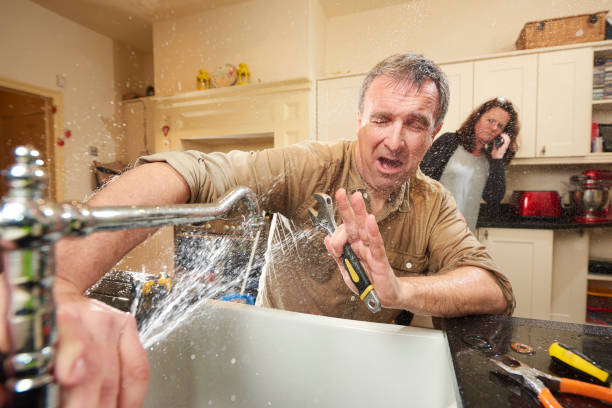 Best Water damage contractors near me  in North Charleston, SC